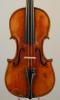 Bedocchi,Mario-Violin-1902