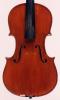 Saccani,Benigno-Violin-1909