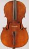 Degani,Giulio-Cello-1904