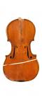 Rinaldi,Marengo Romano-Violin-1900