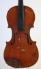 Contino,Alfredo-Violin-1905