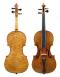 Francesco Ruggieri_Violin_1674