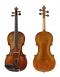 Pier Lorenzo Vangelisti_Violin_1740c