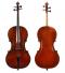 Paulo Antonio Testore_Cello_1740c