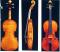 Antonio Maria Lavazza_Violin_1707-1723*