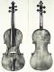 Gaspare Lorenzini_Violin_1739-1781*