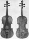Giuseppe Guadagnini_Violin_1781
