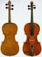 Johannes Theodorus Cuypers_Viola_1770