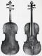 Johannes Theodorus Cuypers_Violin_1797