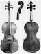 Johannes Theodorus Cuypers_Violin_1807