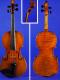 Johannes Theodorus Cuypers_Violin_1795