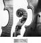Johannes Theodorus Cuypers_Violin_1783