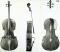 Antonio Stradivari_Cello_1731