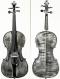 Carlo Giuseppe Testore_Violin_1698