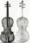 Carlo Giuseppe Testore_Violin_1703