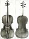 Johannes Theodorus Cuypers_Viola_1787c