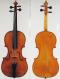 Hendrick Jacobs_Violin_1650-1711*