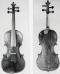 Eugenio Degani_Violin_1890