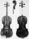 Eugenio Degani_Violin_1897