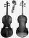 Eugenio Degani_Violin_1890