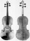 Eugenio Degani_Violin_1893