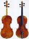 Stefano Scarampella_Violin_1885c