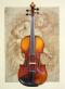Nicolas Lupot_Violin_1784