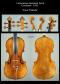 Lorenzo Storioni_Violin_1781
