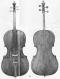 Francesco Goffriller_Cello_1730c