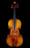 Antonio Stradivari_Violin_1703