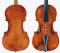 Gennaro (Januarius) Gagliano_Violin_1760c