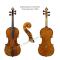 Johannes Theodorus Cuypers_Violin_1783