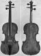 Giuseppe Guadagnini_Violin_1797