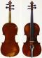 Giuseppe Fiorini_Violin_1879