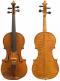 Bisiach,Leandro-Violin-1895