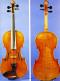 Bisiach,Leandro-Violin-1900