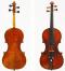 Bisiach,Leandro-Violin-1906