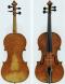 Riccardo Antoniazzi_Violin_1898