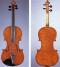 Romeo Antoniazzi_Violin_1890c