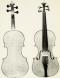 Giuseppe Pedrazzini_Violin_1913