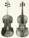 Giuseppe Pedrazzini_Violin_1919