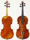 Giuseppe Pedrazzini_Violin_1910