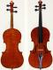 Rinaldi,Marengo Romano-Violin-1900