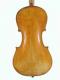 Carlo Antonio Testore_Violin_1742