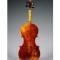 Carlo Antonio Testore_Violin_1738