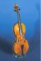 Antonio Stradivari_Violin_1693