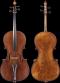 David Tecchler_Cello_1701c