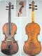 Lorenzo & Tomaso Carcassi_Violin_1760c