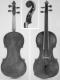 Paulo Antonio Testore_Violin_1740