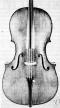 David Tecchler_Cello_1741